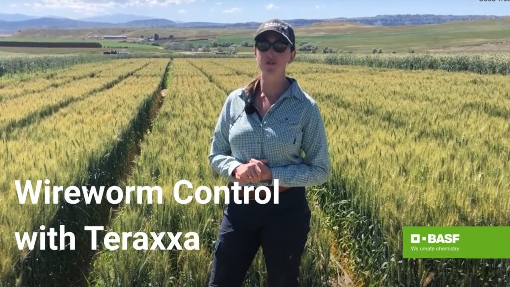 Understanding the Impact and Opportunities of Reddy Anna ID in Modern Communities