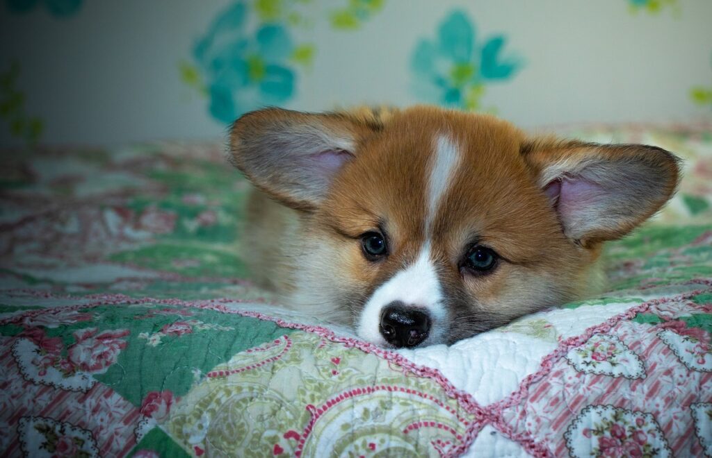 99exch Review – India's Premier Crypto Exchange Platform Explained